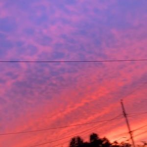 Meet your Posher, Janlee